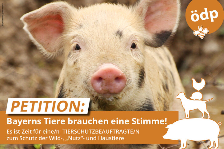 Petition unterschreiben: Bayerns Tiere brauchen eine Stimme!